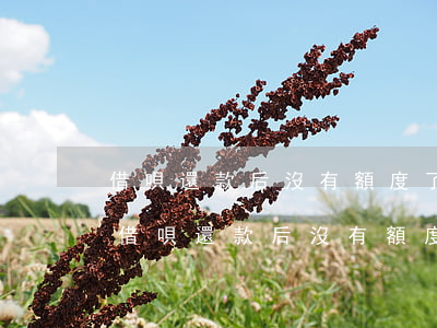 借唄還款后沒有額度了怎么恢復(fù)-借唄還款后沒有額度了怎么恢復(fù)正常
