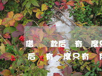 借唄還款后沒有額度只有備用金-借唄還款后沒有額度只有備用金怎么回事