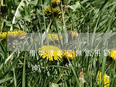 借唄還款后無信用額度怎么關(guān)掉-