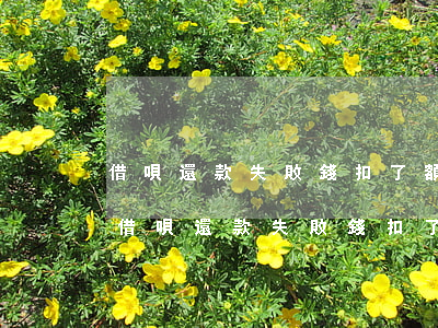 借唄還款失敗錢扣了額度沒恢復(fù)-借唄還款失敗錢扣了額度沒恢復(fù)怎么辦