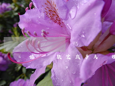 借唄還款完成多久辦理結(jié)清證明-