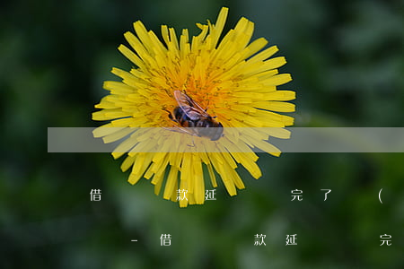 借唄還款延長換完了會(huì)有什么影響-借唄還款延長換完了會(huì)有什么影響嗎