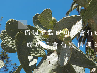 借唄還款成功后會有短信通知嗎-借唄還款成功后會有短信通知嗎安全嗎