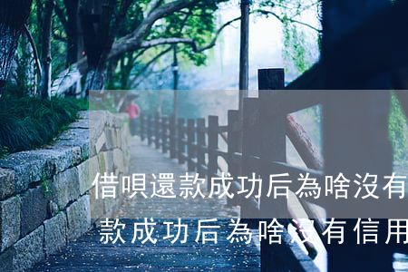 借唄還款成功后為啥沒有信用顯示-借唄還款成功后為啥沒有信用顯示了