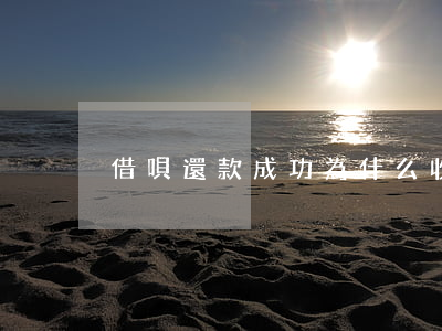 借唄還款成功為什么收不到短信-