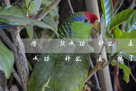 借唄還款成功為什么額度還低了-借唄還款成功為什么額度還低了呢
