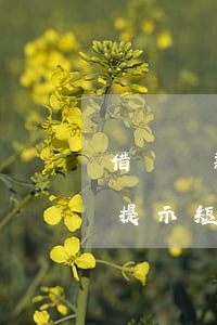 借唄還款提示短信是提前幾天的-借唄還款提示短信是提前幾天的嗎