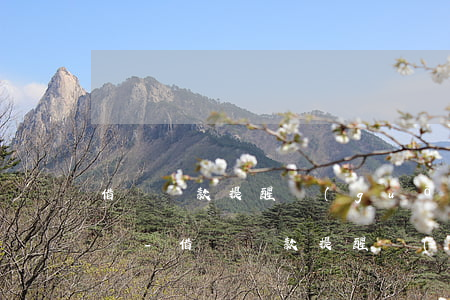 借唄還款提醒關(guān)閉了還會提醒嗎-借唄還款提醒關(guān)閉了還會提醒嗎安全嗎