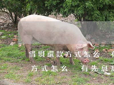 借唄還款方式怎么沒有先息后本-借唄還款方式怎么沒有先息后本了