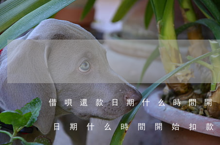 借唄還款日期什么時間開始扣款-借唄還款日期什么時間開始扣款的