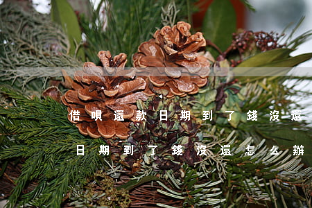 借唄還款日期到了錢沒還怎么辦-借唄還款日期到了錢沒還怎么辦呢
