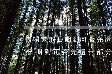 借唄還款日期到可否先還一部分-借唄還款日期到可否先還一部分錢