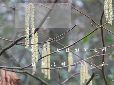 借唄還款日期可以推遲多少天嗎-借唄還款日可以推遲10天還么