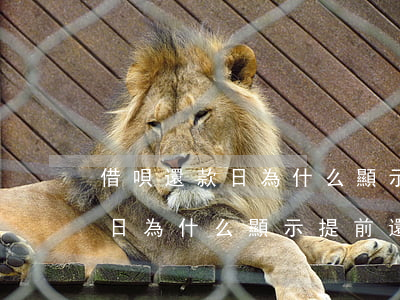 借唄還款日為什么顯示提前還款-借唄還款日為什么顯示提前還款了
