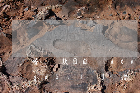 借唄還款日自動(dòng)扣款后就關(guān)閉了-借唄還款日自動(dòng)扣款后就關(guān)閉了嗎