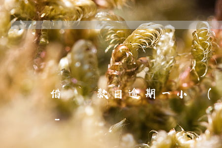 借唄還款日逾期一小時(shí)有影響嗎-
