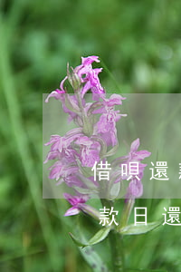 借唄還款日還沒有到怎么就扣錢了-借唄還款日還沒有到怎么就扣錢了呢