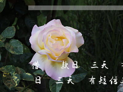 借唄還款日頭三天沒有短信通知-借唄還款日頭三天沒有短信通知怎么辦