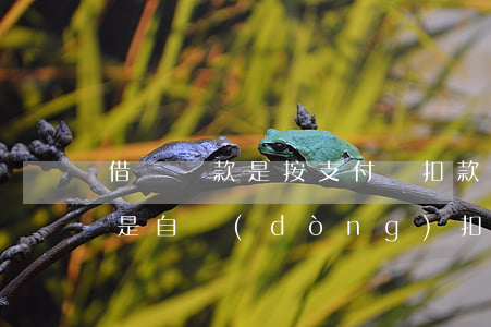 借唄還款是按支付寶扣款順序嗎-借唄還款是自動(dòng)扣款嗎