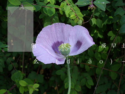 借唄還款時間變成早上八點(diǎn)怎么調(diào)-借唄還款時間變成8點(diǎn)