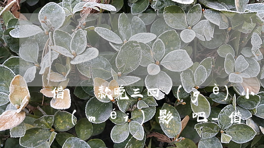 借唄還款晚三四個(gè)小時(shí)沒(méi)影響吧-借唄還款晚三四個(gè)小時(shí)沒(méi)影響吧怎么辦