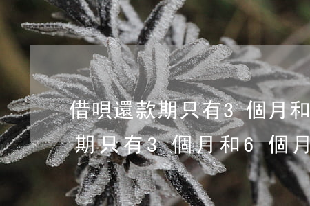 借唄還款期只有3個月和6個月-借唄還款期只有3個月和6個月嗎