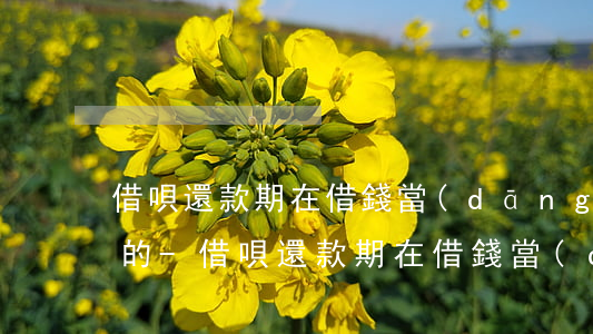 借唄還款期在借錢當(dāng)天算哪天的-借唄還款期在借錢當(dāng)天算哪天的利息