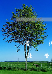 借唄還款正常會(huì)提前幾天短信提醒-借唄還款正常會(huì)提前幾天短信提醒嗎
