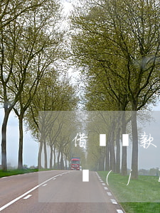 借唄還款當(dāng)天算利息嗎？詳解計(jì)算方法與金額