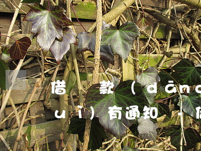 借唄還款當(dāng)天還款了還會(huì)有通知嗎-借唄還款當(dāng)天還款了還會(huì)有通知嗎怎么辦