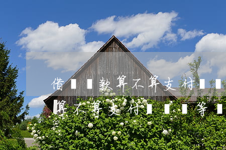 借唄還款算不算支付寶會員等級-借唄還款算不算支付寶會員等級了