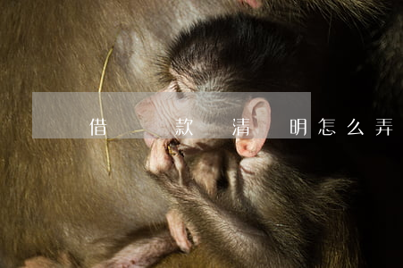 借唄還款結清證明怎么弄沒有郵箱