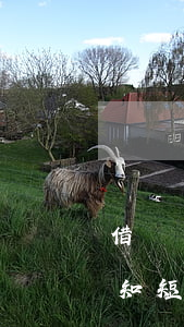 借唄還款通知.號(hào)碼(借唄還款通知短信內(nèi)容)