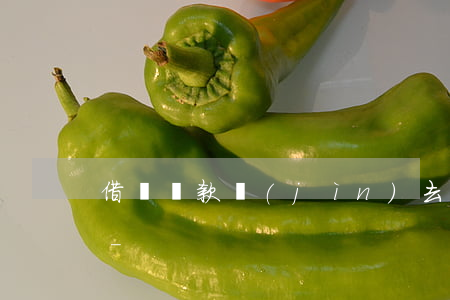 借唄還款進(jìn)去后可以在提出來嗎-