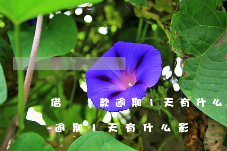 借唄還款逾期1天有什么影響嗎-借唄還款逾期1天有什么影響嗎怎么辦
