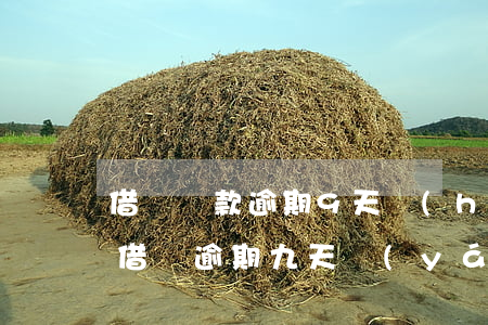 借唄還款逾期9天會(huì)被起訴嗎-借唄逾期九天嚴(yán)重嗎
