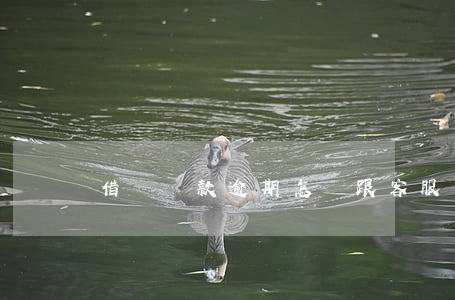借唄還款逾期怎樣跟客服協商
