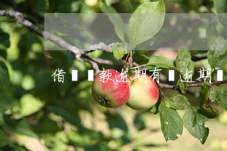 借唄還款逾期（有唄逾期還款）