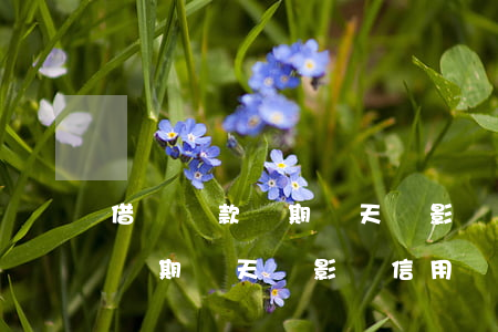 借唄還款過期幾天會影響信用嗎-借唄還款過期幾天會影響信用嗎怎么辦