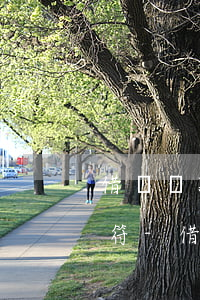 借唄還款金額和實(shí)際還款金額不符-借唄還款金額和實(shí)際還款金額不符怎么辦