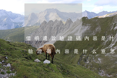 借唄還款驗證碼內容是什么意思-借唄還款驗證碼內容是什么意思啊