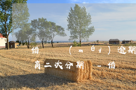 借唄還沒(méi)逾期可以協(xié)商二次分期嗎-借唄還沒(méi)逾期可以協(xié)商二次分期嗎怎么辦
