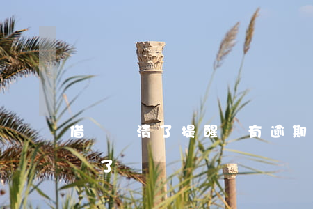 借唄還清了提醒還有逾期(借唄逾期了一星期還了)