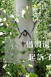借唄還清了逾期還可以起訴嗎(借唄逾期了被起訴了)
