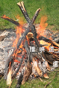 借唄還清但還款助手顯示沒還怎辦-借唄還清但還款助手顯示沒還怎辦呢