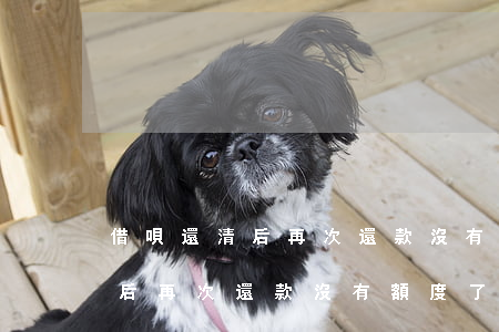 借唄還清后再次還款沒有額度了-借唄還清后再次還款沒有額度了怎么辦