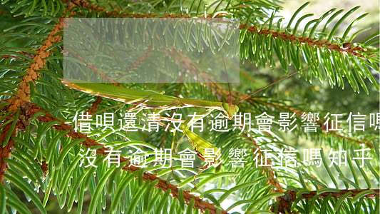 借唄還清沒有逾期會影響征信嗎-借唄還清沒有逾期會影響征信嗎知乎