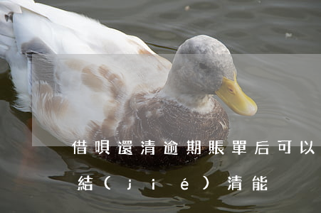 借唄還清逾期賬單后可以接著借嗎（借唄逾期結(jié)清能）