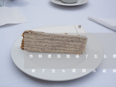 借唄還清開通了怎么還顯示逾期 借唄還清開通了怎么還顯示逾期
