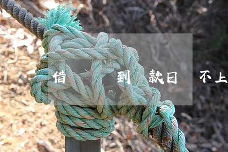 借唄還錢到還款日還不上怎么辦-